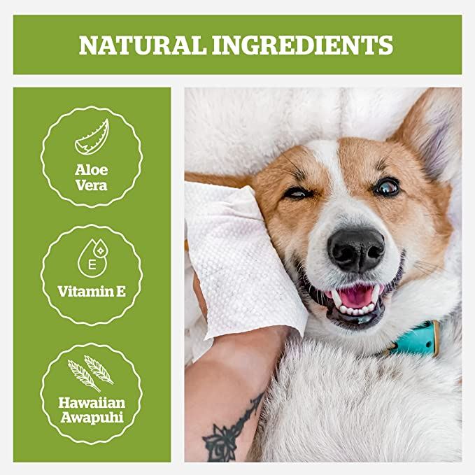 Dog Wipes For Bum