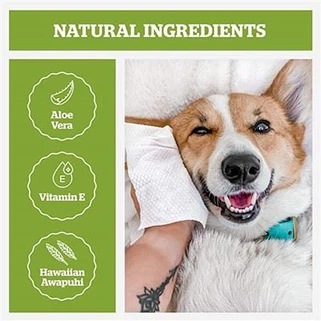 Flea Wipes Petco