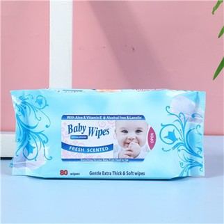 Biodegradable Travel Wipes